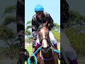 Prankster Wins he final leg of the Hollywoodbets Work Rider Series