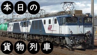 【本日の貨物列車】No.499　2021,11,28　第5875番列車　Today‘s freight train　EF64重連！