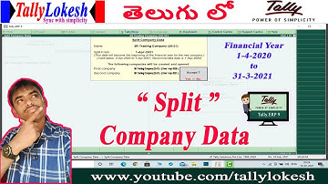 Tally ERP 9 | Split Company Data in Tally Telugu | By Lokesh