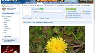 Изучаем основные возможности МойМир screenshot 4