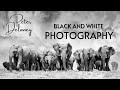 Black and white photography  peter delaney  featured artist