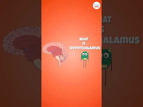 Video: Zakaj je hipotalamus pomemben?