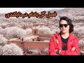 زیبا ترین فصل دایکندی لباس سفید این ولایت با گل بادام The Most Beautiful Season In Daikundi زیبا ترین فصل دایکندی لباس سفید این ولایت با گل بادام The Most Beautiful Season In Daikundi