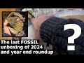 The last #FOSSIL #unboxing of 2024 and December roundup #fossilhunting Yorkshire coast - Nautilus