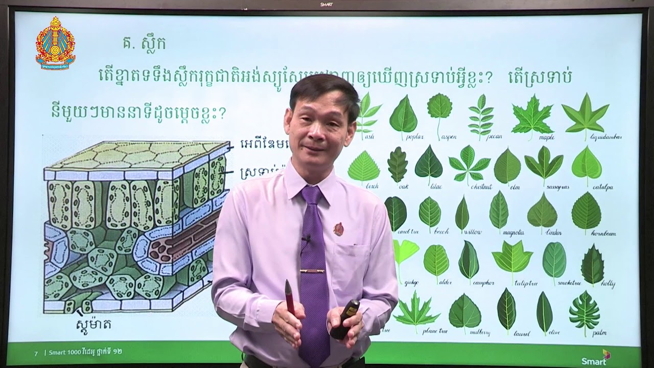 ជីវវិទ្យា ថ្នាក់ទី១២ ជំពូកទី១ មេរៀនទី២៖​ អង់ស្យូស្ពែម (ភាគទី២)