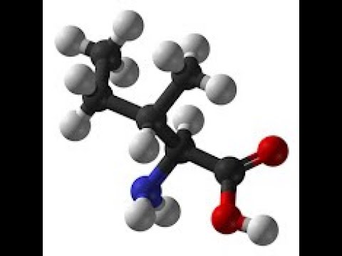 New curriculum (question