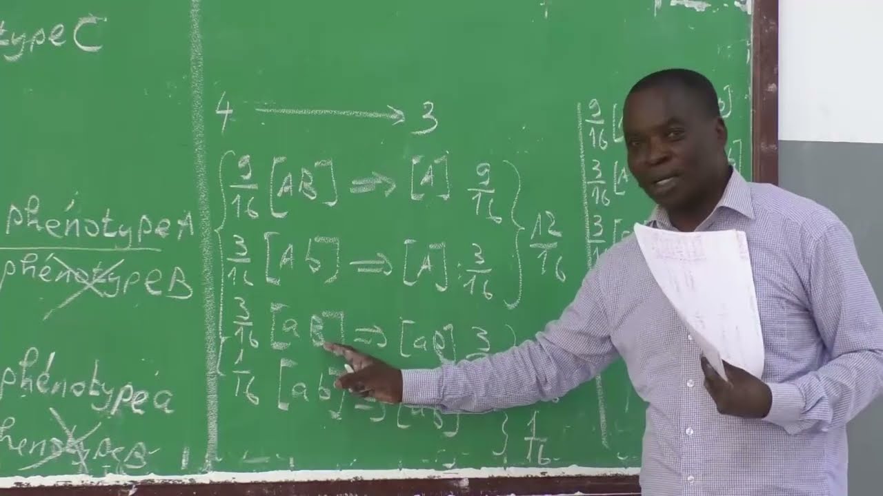 Cours de S.V.T : Comprendre le phénomène de l'hérédité. Niveau Terminale D