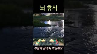 틀어놓고 잠자기 좋은 영상