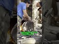 WAKHAN CORRIDOR #wakhancorridor #trending #trendingvideo #shorts #shortvideo #shortsviral