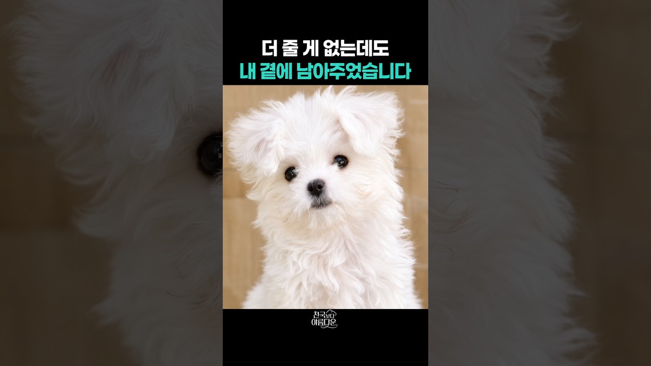 더 줄 게 없는데도 내 곁에 남아주었습니다