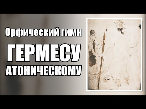 Бейне: Кокита сленг деген нені білдіреді?