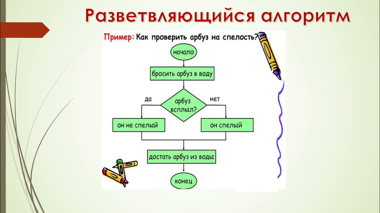 Алгоритм презентация информатика 8 класс