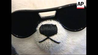 Karl Lagerfeld  teddy bear goes on sale in Germany