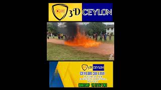 CRICKET | SOFTBALL CRICKET | HARDBALL CRICKET #softballcricket #cdl #cricket #livestreamE #srilanka screenshot 2