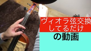 【新品弦張替⭐️】SUZUKI ビオラ15.5inc No2 ヴィオラ
