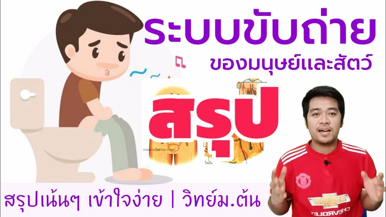 ระบบขับถ่าย ม.2 ppt  Update  ระบบขับถ่ายของมมนุษย์เเละสัตว์ | ระบบร่างกาย | วิทย์พื้นฐานม.2