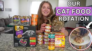 My Cats’ Current Food Rotation (Budget-Friendly   High Quality Cat Food Options)