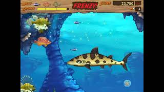 🐟Feeding Frenzy 2 | Fish Game All Levels Walkthrough Mobile IOS | Android New Running Games Gameplay screenshot 1