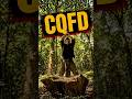 CQFD