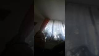 Filme porno la Chisinau de pe care - YouTube