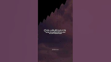 فقلت استغفروا ربكم إنه كان غفارا... القارئ شريف مصطفى