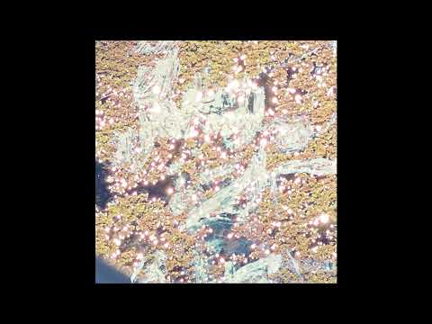 Concave Reflection - A Certain Tenderness