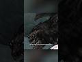 Geralt ma flaschbacki 🐺 | Wiedźmin 2