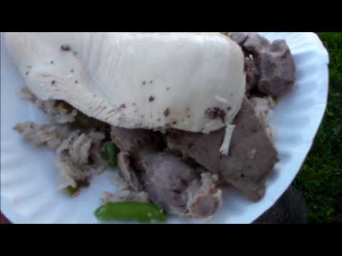 homemade-cooked-dog-food-recipe-updated-version