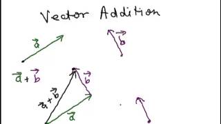 Vector Basics 5