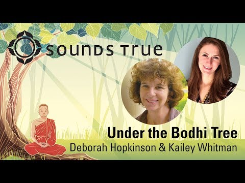 Video: Hvor er Bodhi-treet som Buddha satt under?