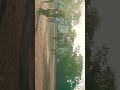 practice yime #cricket #cricketlover #localmatch #sports #viratkohli