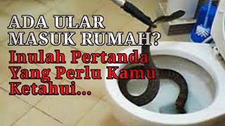 5 Mitos Pertanda Ular Masuk Rumah