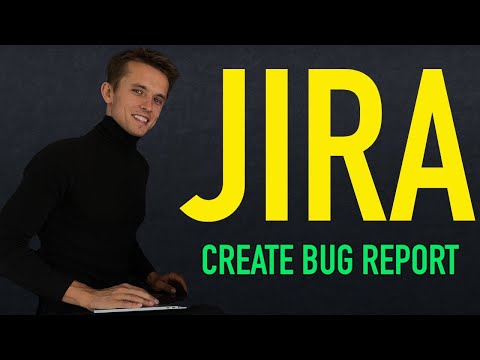 Professional Bug Report