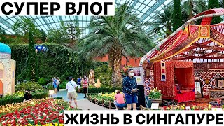 СУПЕР ВЛОГ: интересные и красивые места в Сингапуре. Сплошной позитив😁