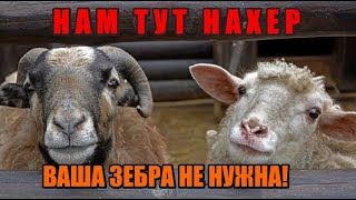 Вектор Движения №294 Никто Не Хотел Уступать! Бурный Баттл! 🧯 🏴☠️⚠️