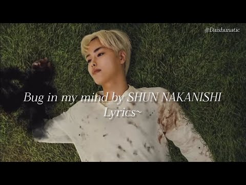 Bug in my mind by SHUN NAKANISHI lyrics video 💗 