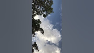 سورة الناس - هزاع البلوشي