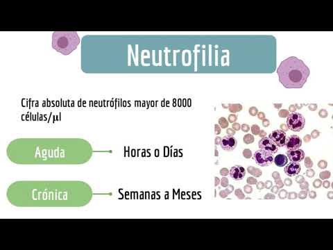 Video: Ho la neutrofilia?