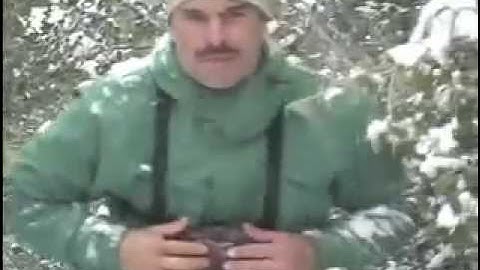 Crooked Horn - Bino Shield