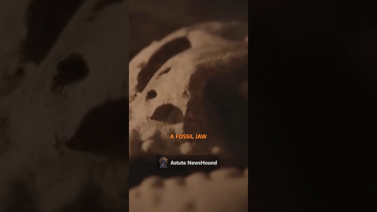 South Africa: discovery of a new ancient human relative