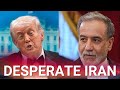 Desperate Iran pleads with the US to open the strait of Hormuz as the economy is crippled