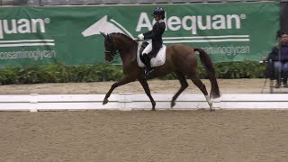 2023 Us Dressage Finals Reserve Champion Psg Aa- Bonnie Canter And Her 7 Yo Vitali - 70.784%