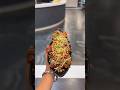 Paneer Crispy 🥹🫠@OFFICIALMRSANJABOHRA7874 #shorts #shortsfeed #shortvideo