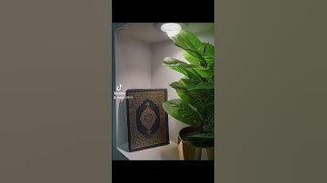 ٢٣ أكتوبر ٢٠٢٢تلاوة خاشعة لفضيلة الشيخ محمد السبيل رحمه الله تعالى