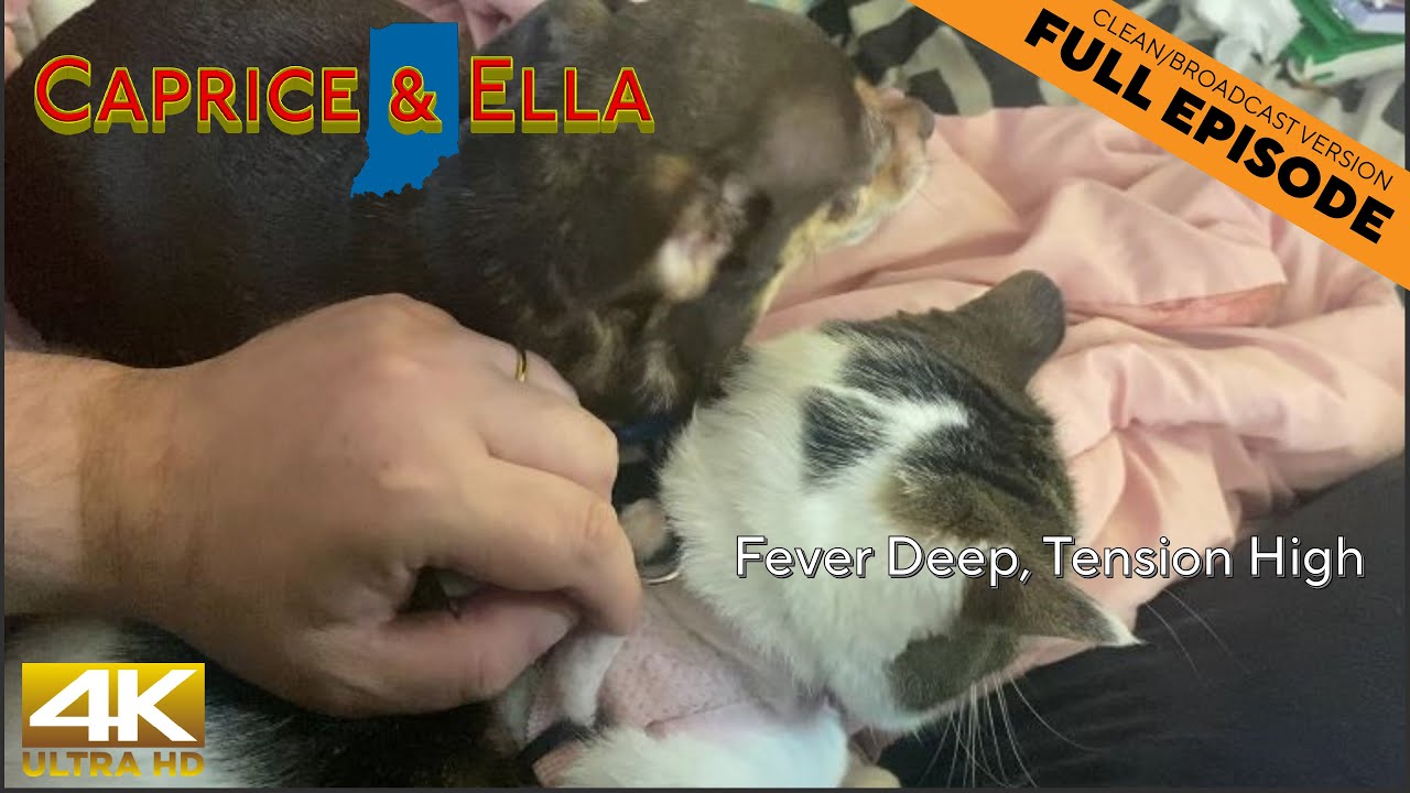 Fever Deep, Tension High | Caprice & Ella 815 (clean)