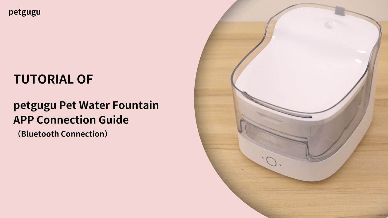 Petgugu Water Fountain APP Connection Guide YouTube