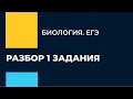 ЕГЭ по биологии: Разбор 1-го задания