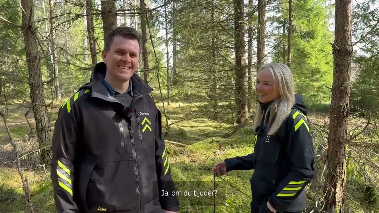 Tips till nya skogsägare