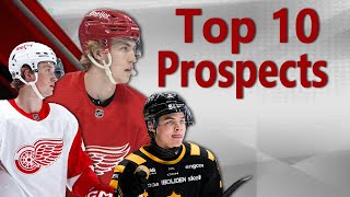 Top 10 Prospects for The Detroit Red Wings