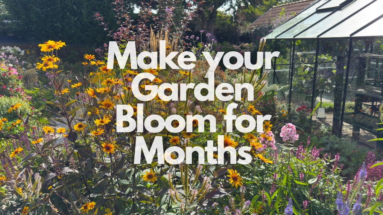 66 Perennials for Non-Stop Bloom | Succession Planting April-August 